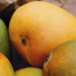Whats In Season December - Mangoes