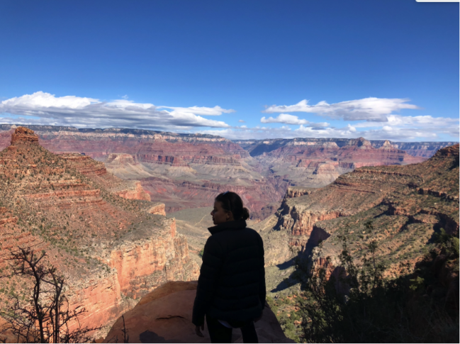 Alyse Cocliff - Grand Canyon - An Apple a Day