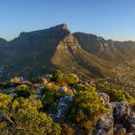 Is South Africa Safe?